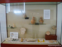 Fotos dewl Museo