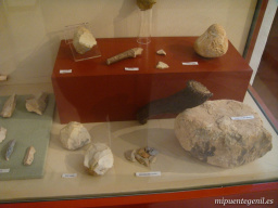 Fotos dewl Museo