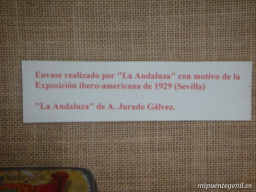 Fotos dewl Museo
