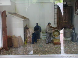 Fotos dewl Museo
