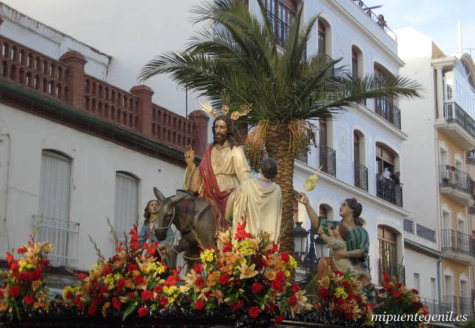 Borriquita 15