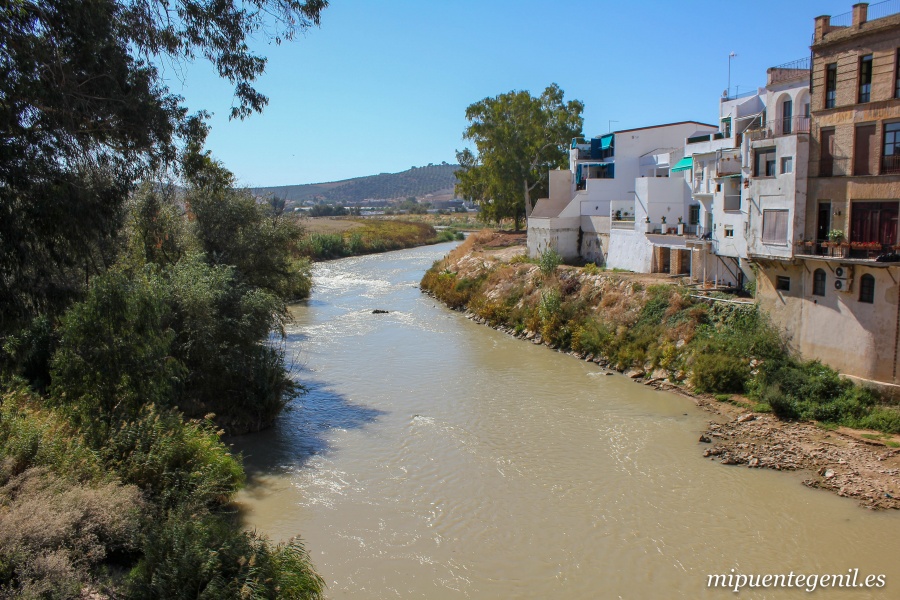 Miragenil Romeral 11