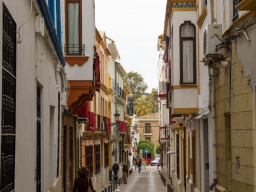 De Miragenil al Romeral