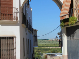 De Miragenil al Romeral