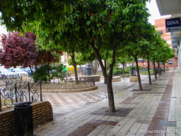 Del Romeral a la Estación