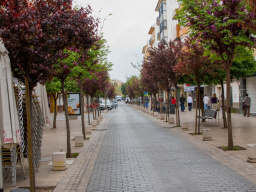 Del Romeral a la Estación
