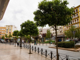 Del Romeral a la Estación