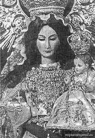 Patrona 12