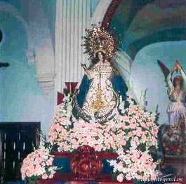 Patrona 15
