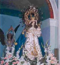 Patrona 16
