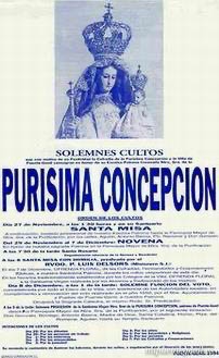 Patrona 41